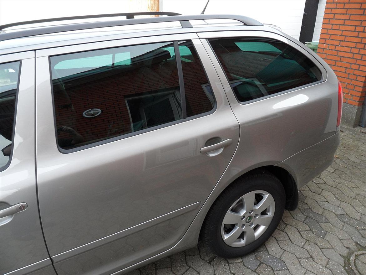 Skoda Octavia 1,6 TDI CR DPF Combi Elegance - Sunset ruder bagi...rart da vi ofte har hunden med.... billede 3