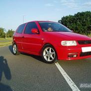 VW Polo 6N