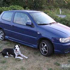 VW polo *SOLGT*