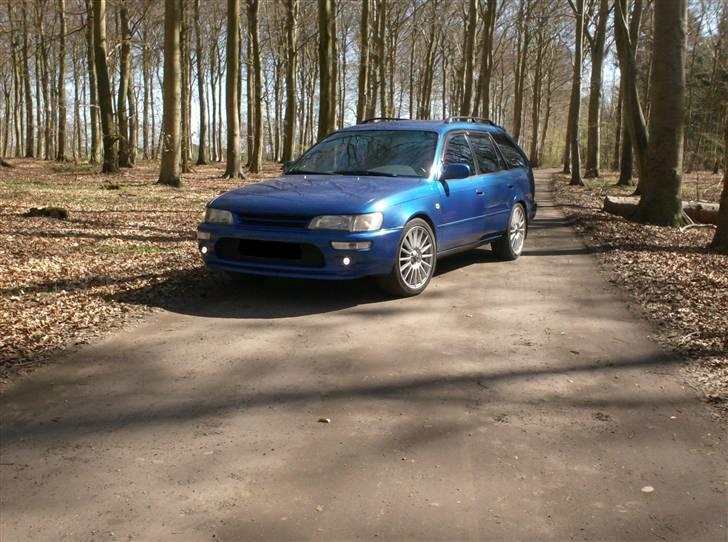 Toyota Corolla :D billede 1