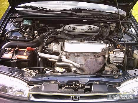 Honda Accord billede 5