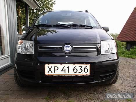 Fiat Panda Sole billede 4