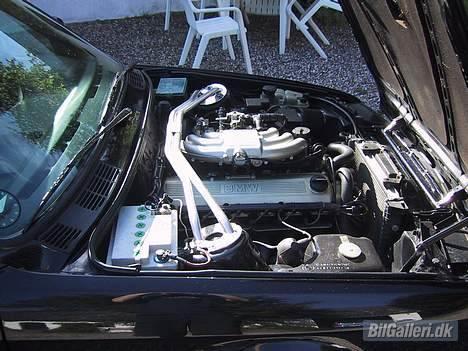 BMW E30 Xenon (solgt) billede 11