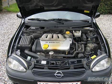 Opel Corsa B - Sport billede 8