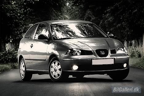 Seat Ibiza billede 10