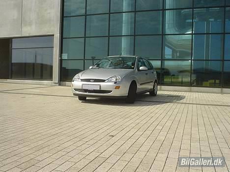 Ford Focus    billede 11