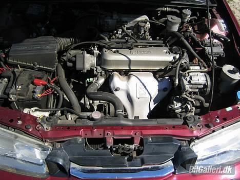 Honda Accord 2,0i S *SOLGT* billede 14