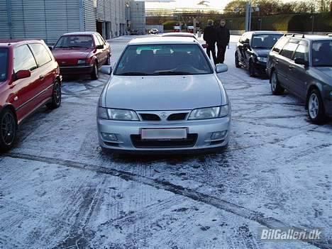 Nissan Almera GTi  Turbo (SOLGT) billede 14