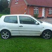 VW Polo 6N - Projektbil