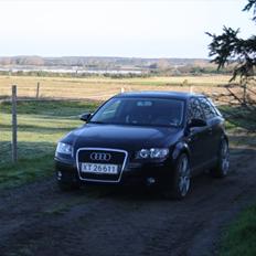 Audi A3, Ambition 'SOLGT'