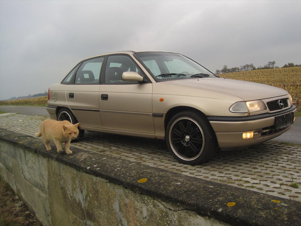 Opel Astra 1,7 TDL billede 4