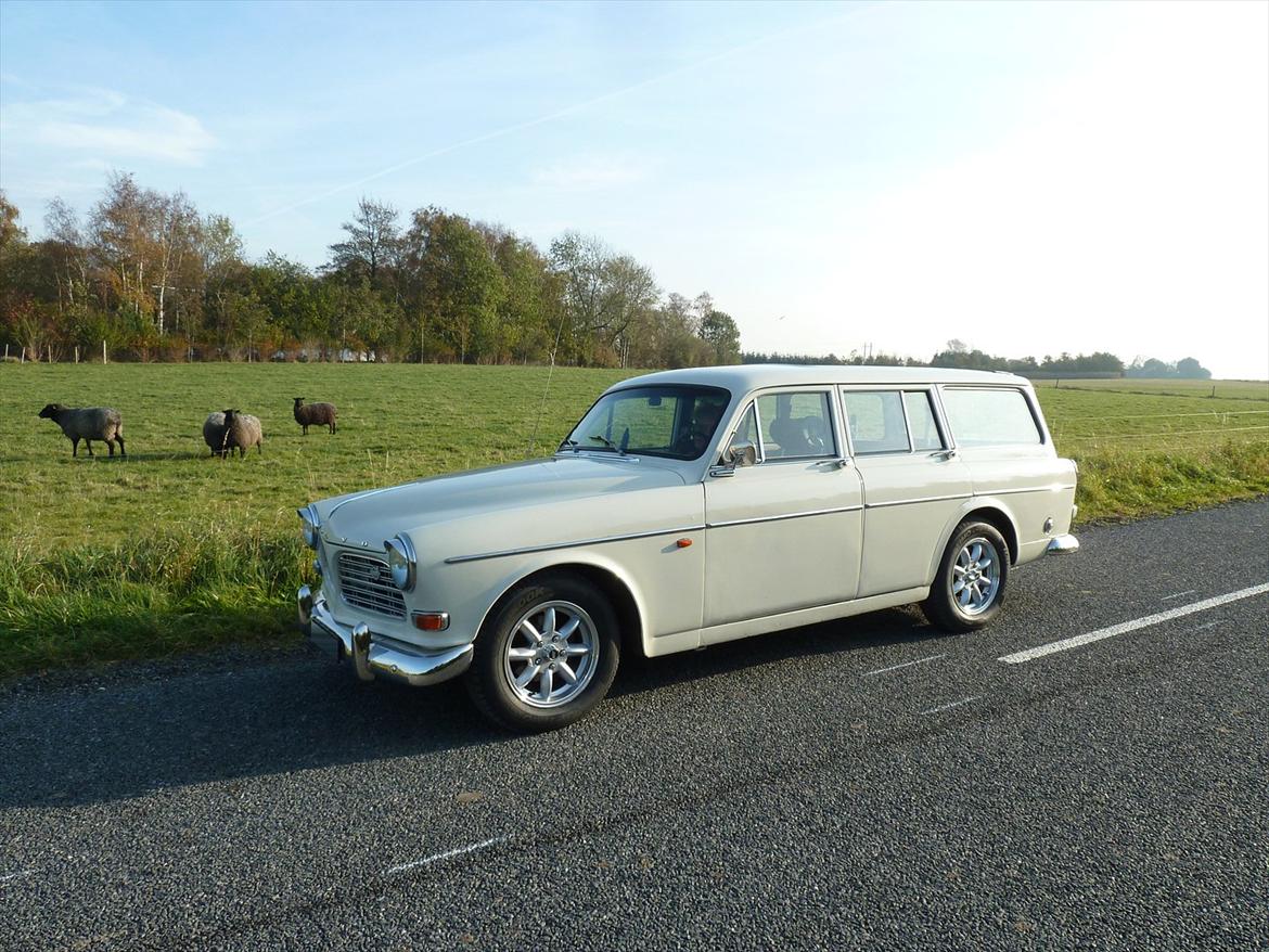 Volvo Amazon HGV - Familliens hvide får. billede 5