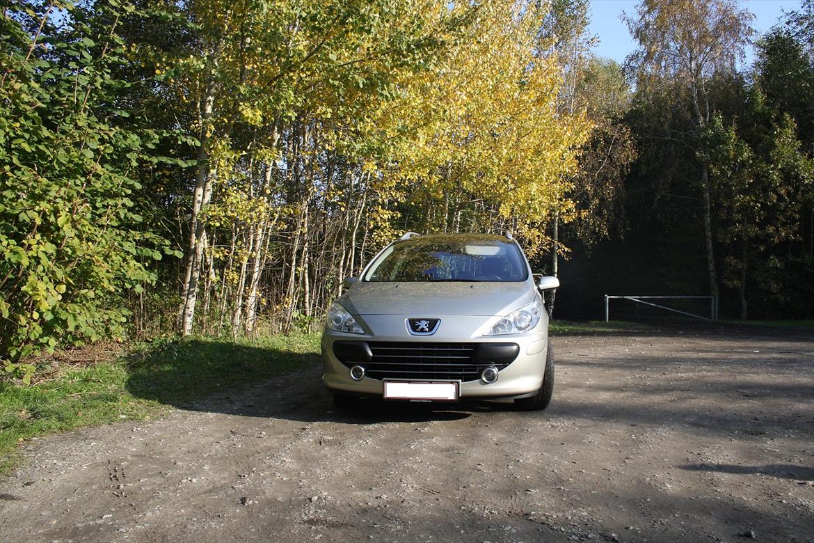 Peugeot 307 SW HDi (Død RIP) billede 3