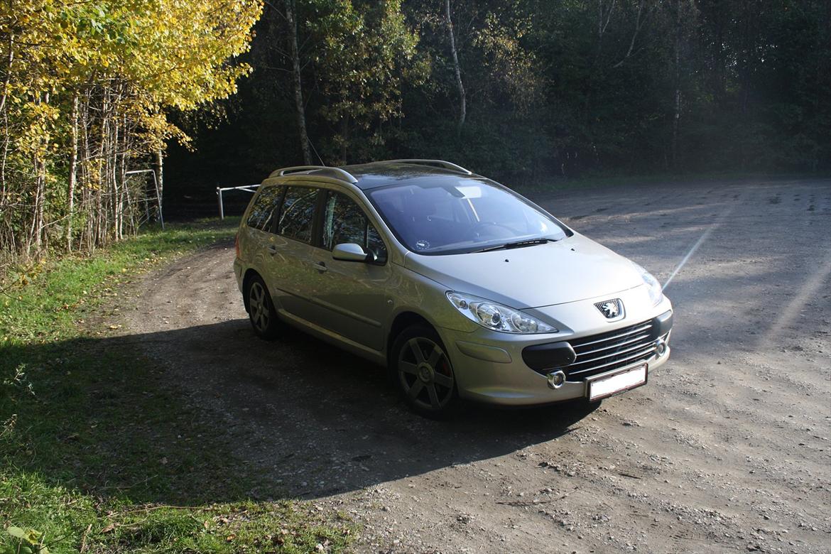 Peugeot 307 SW HDi (Død RIP) billede 4