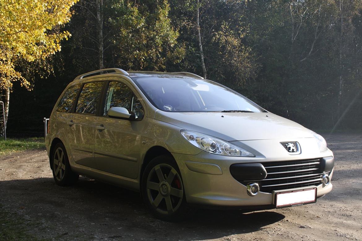 Peugeot 307 SW HDi (Død RIP) billede 5