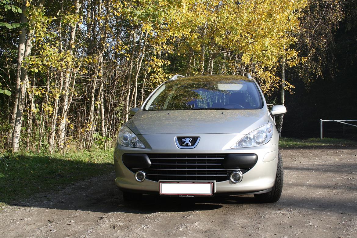 Peugeot 307 SW HDi (Død RIP) billede 15