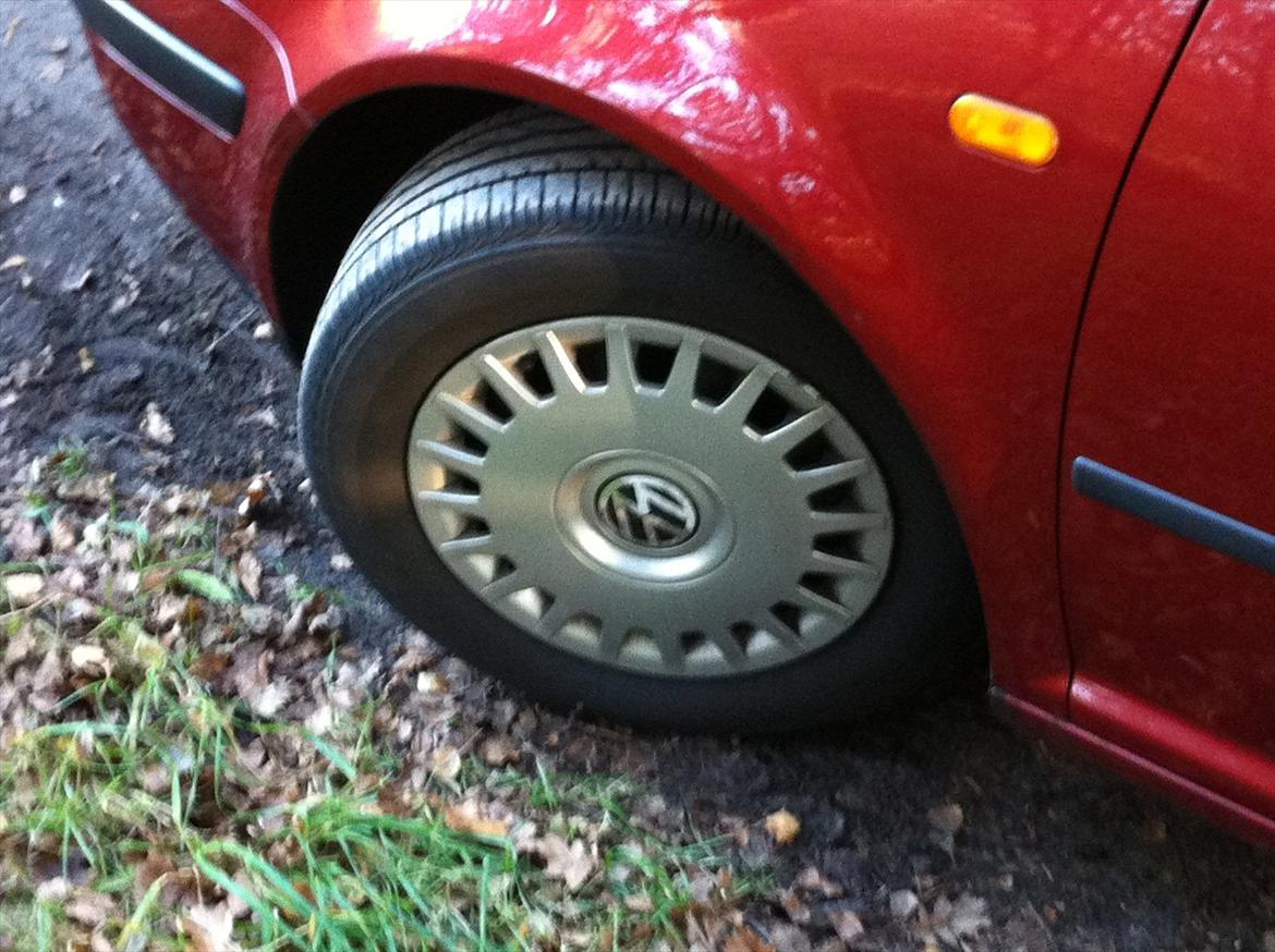 VW Golf 4 Trendline billede 11