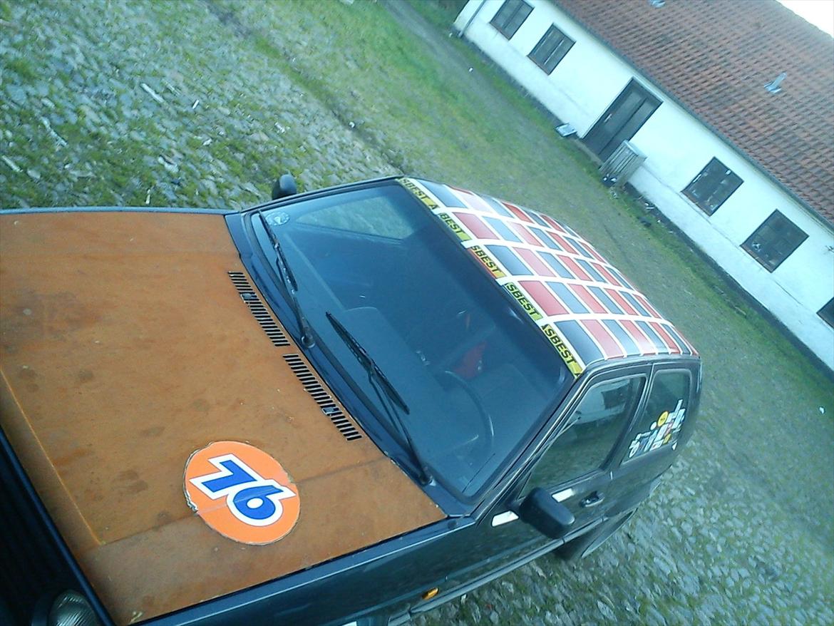 VW ørken rotten billede 9