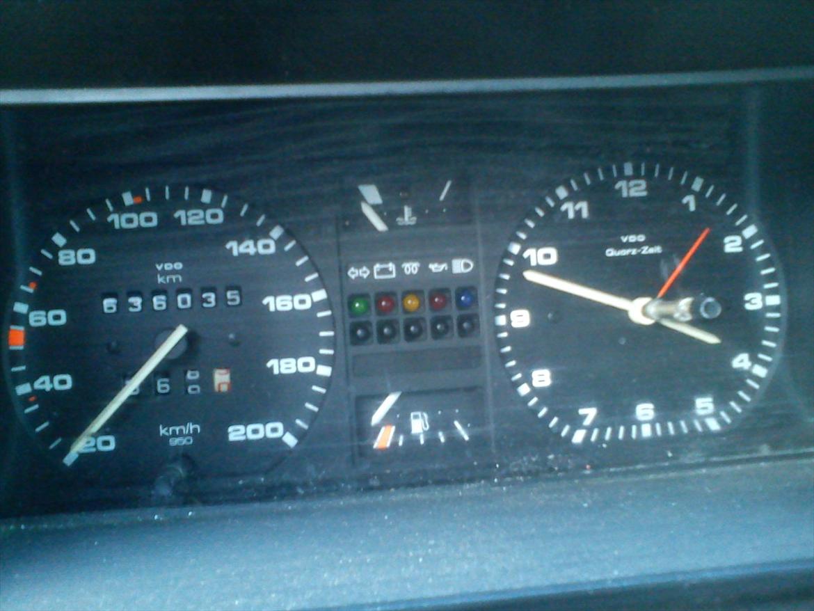 VW ørken rotten billede 12