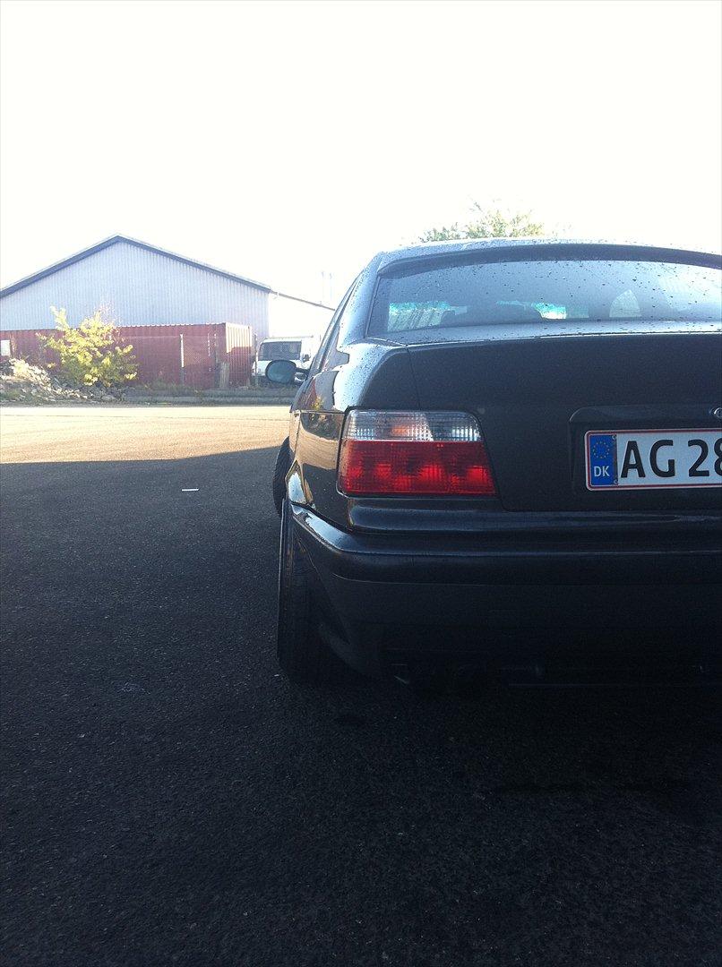 BMW E36 billede 5