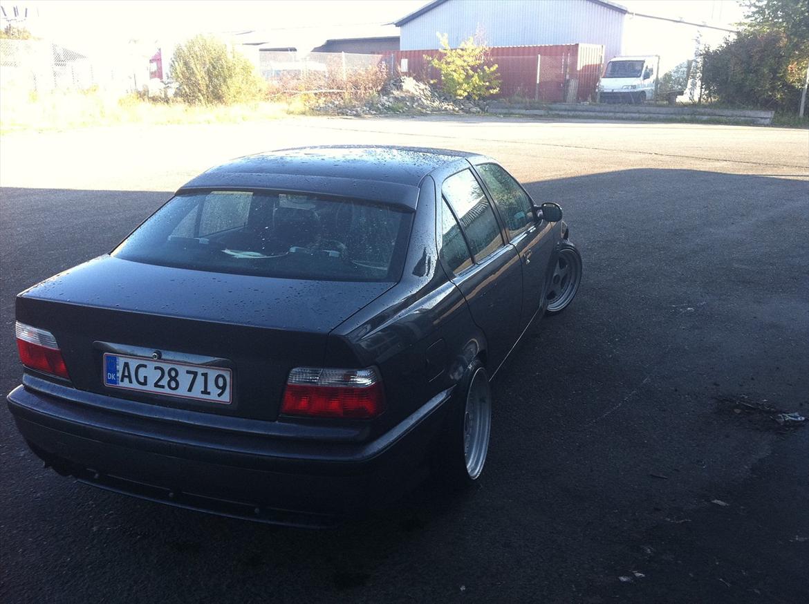 BMW E36 billede 6