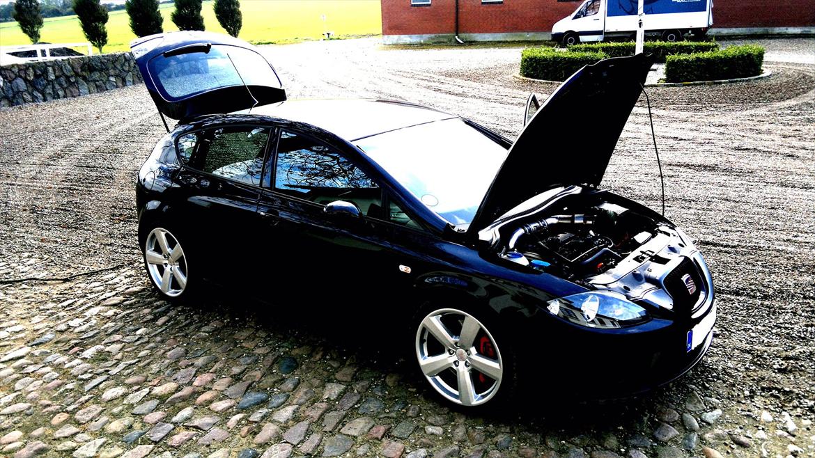 Seat Leon Cupra billede 8