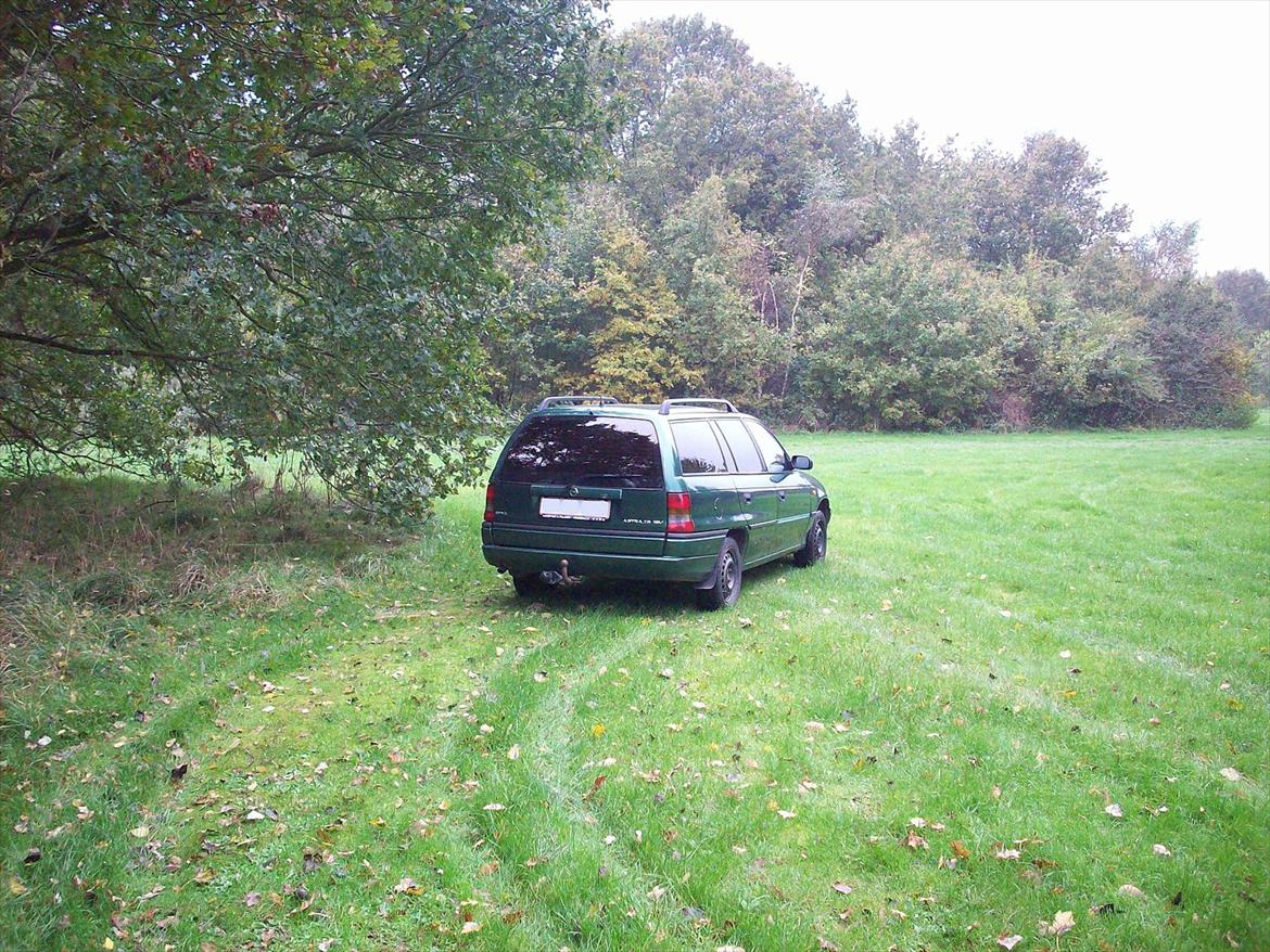 Opel Astra F billede 10