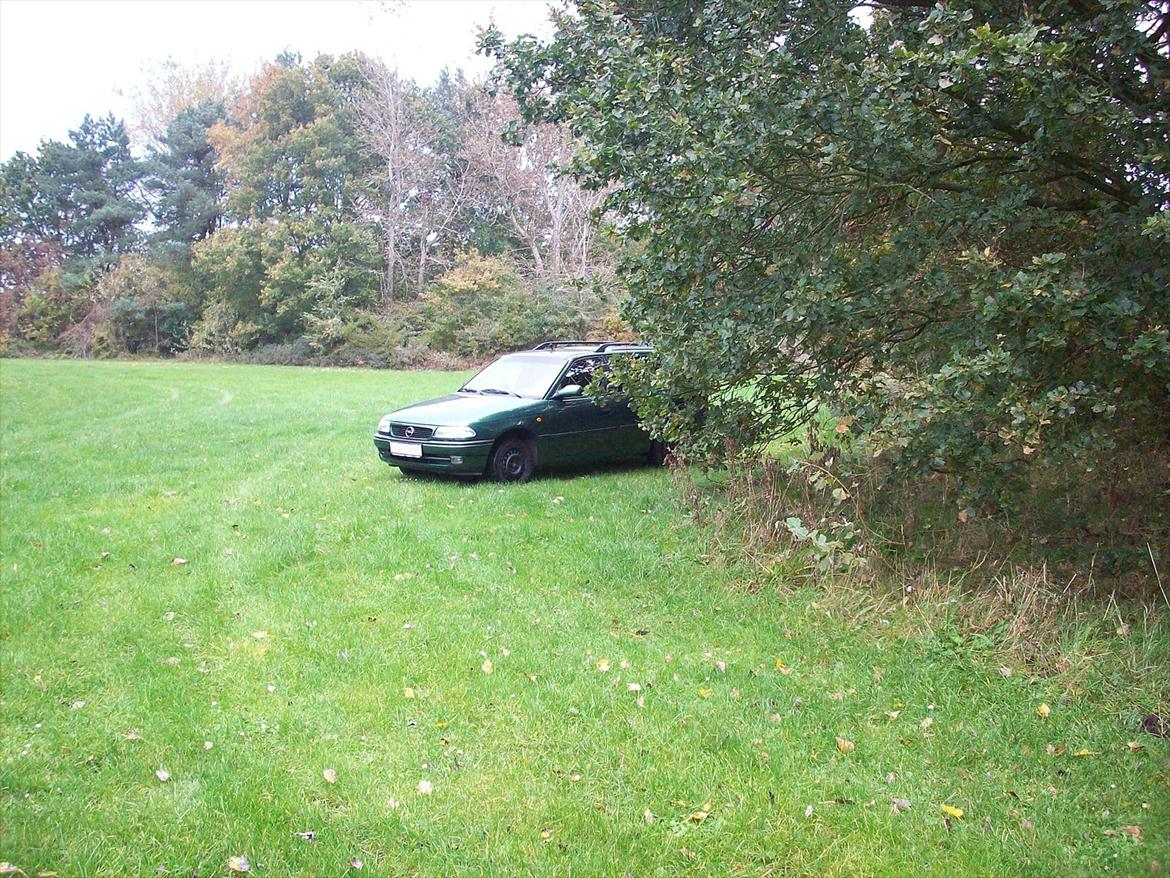 Opel Astra F billede 9