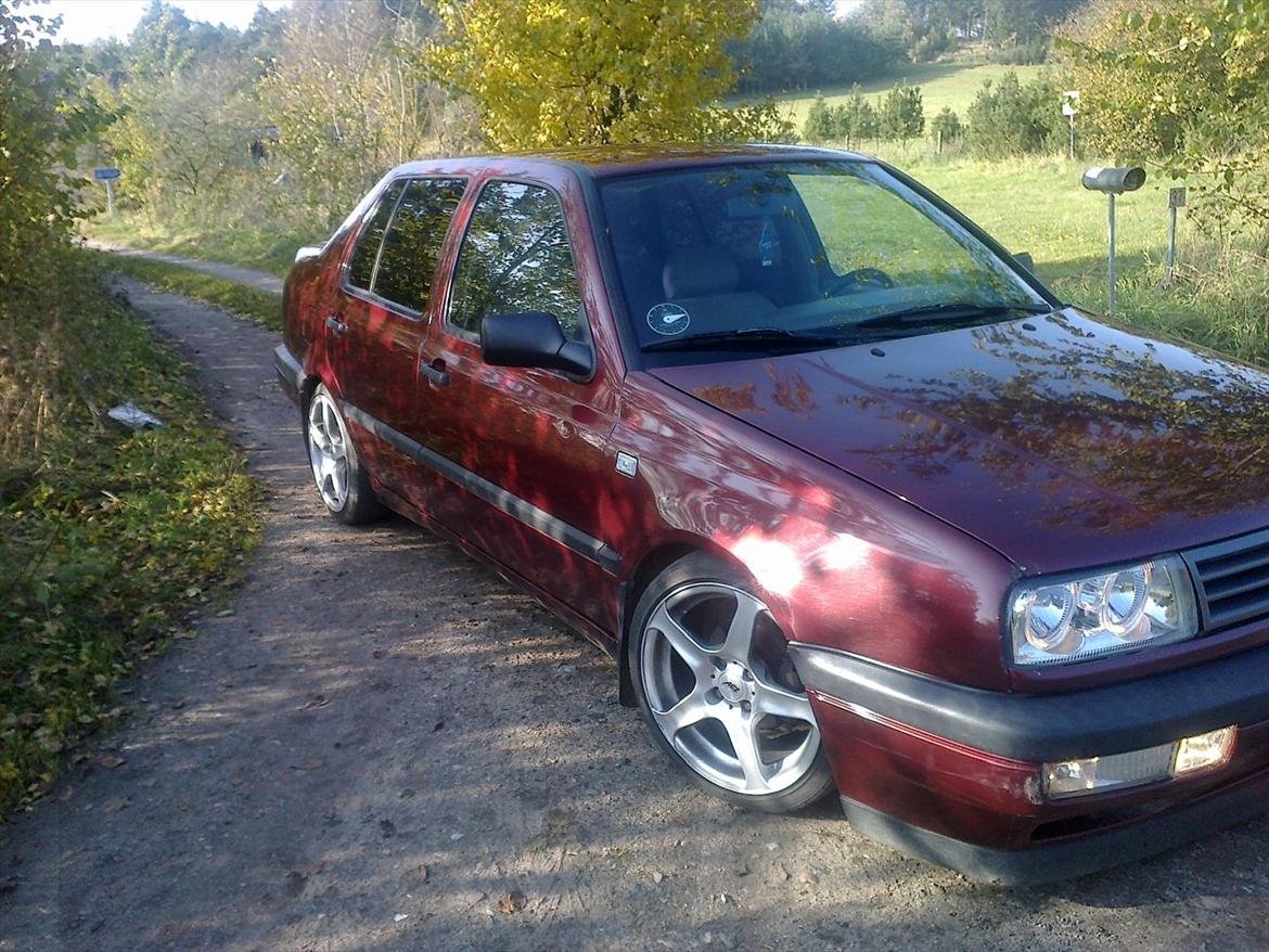VW Vento CL  billede 3