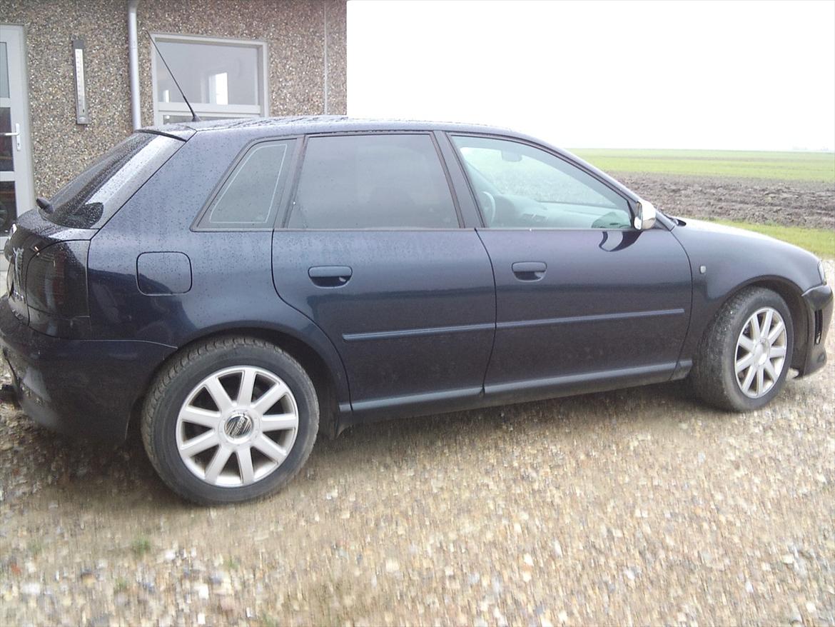 Audi A3 TDI  R.I.P.  billede 4