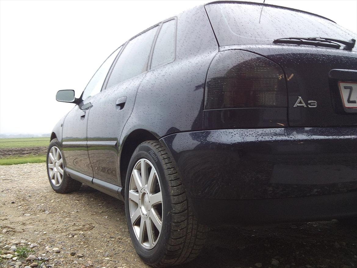 Audi A3 TDI  R.I.P.  billede 7