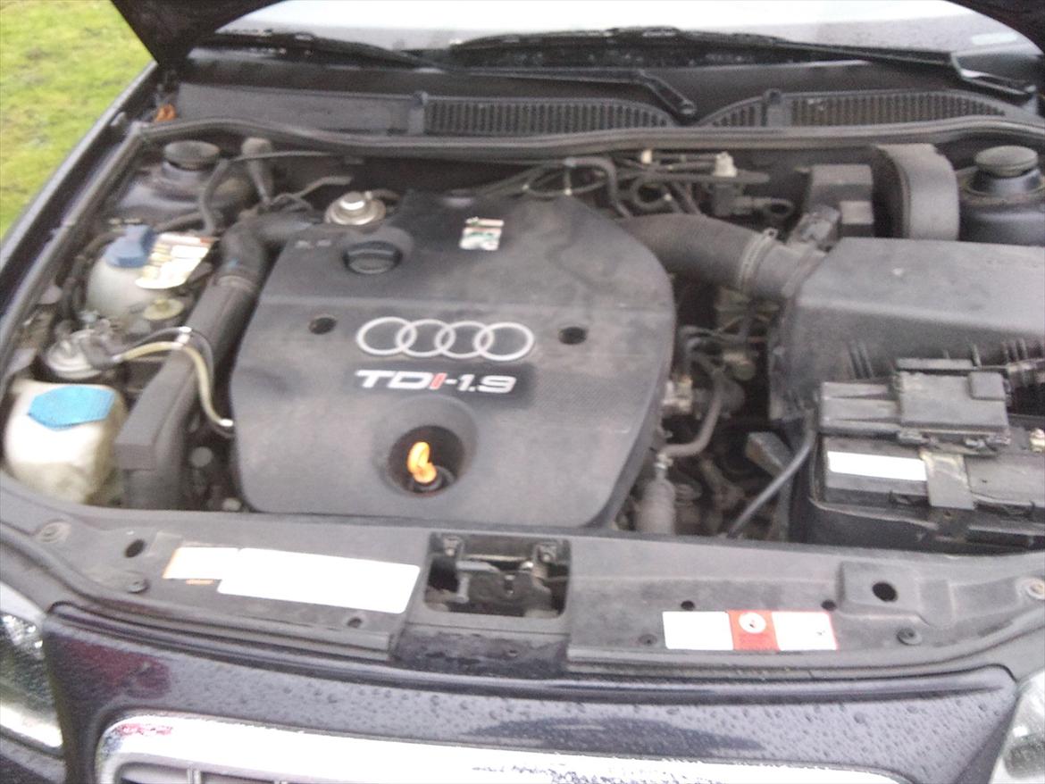 Audi A3 TDI  R.I.P.  billede 15