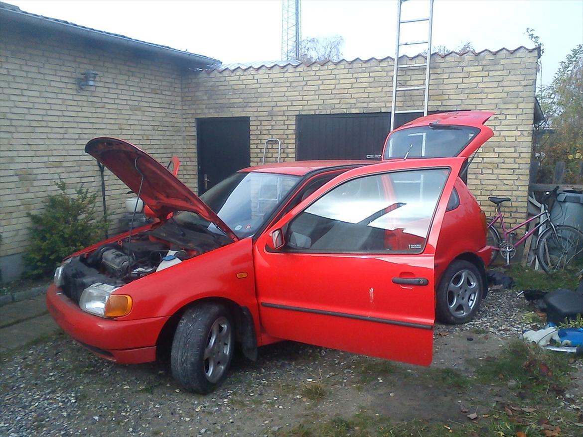 VW polo 6n1 1,4  billede 1