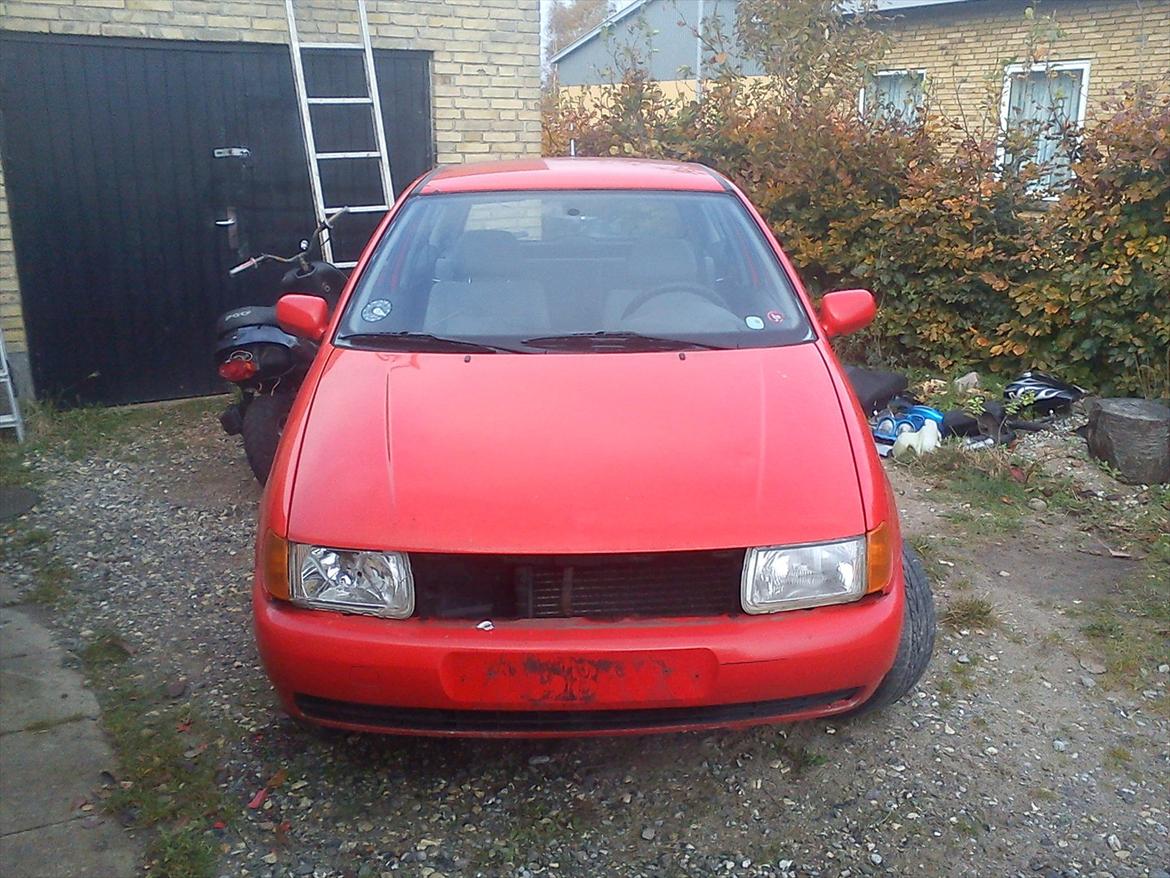 VW polo 6n1 1,4  billede 6