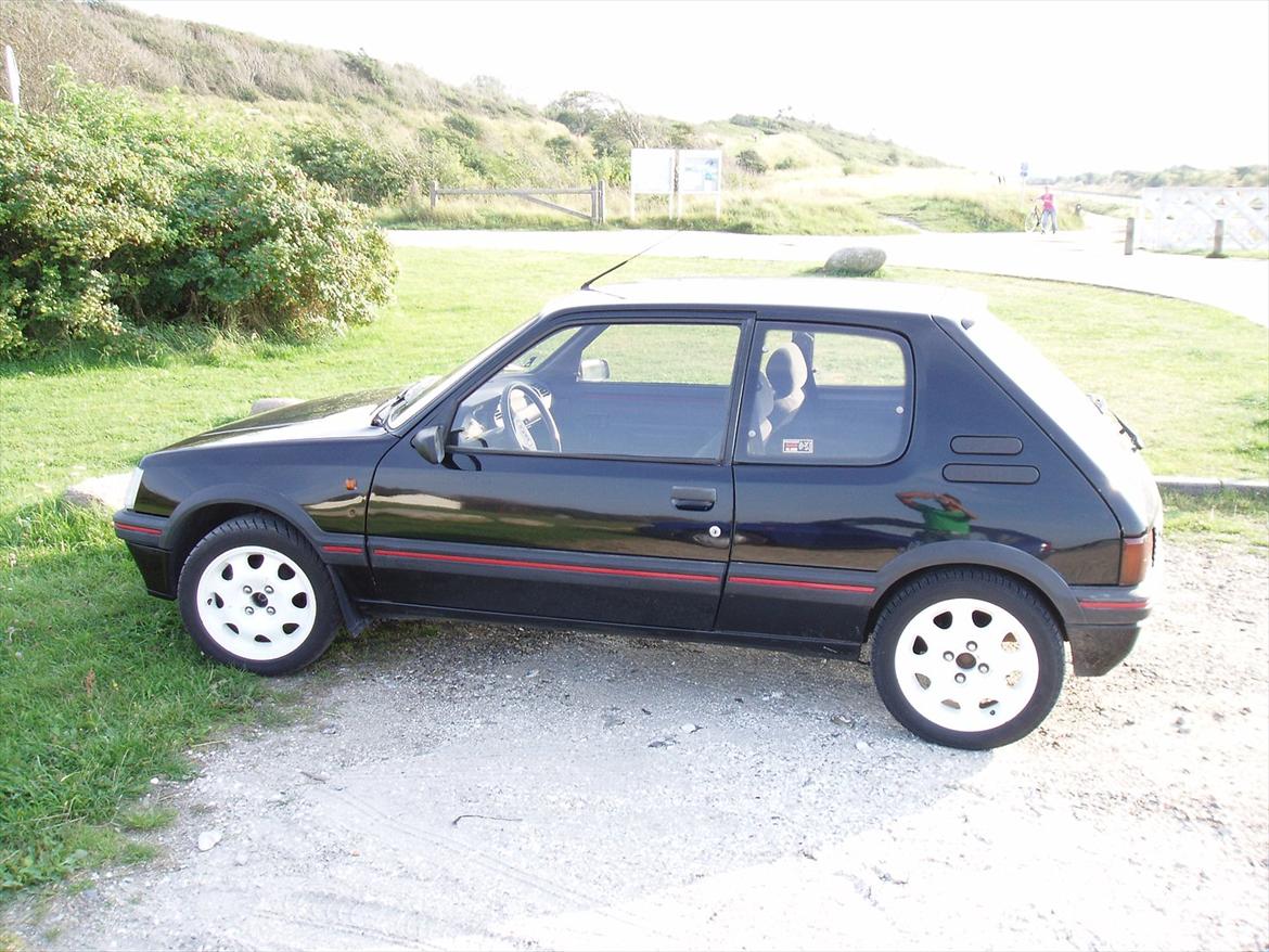 Peugeot 205 1,6 GTi billede 1