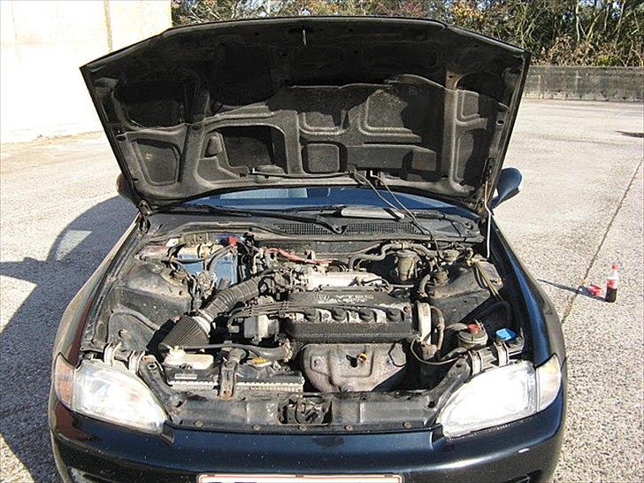 Honda Civic billede 20