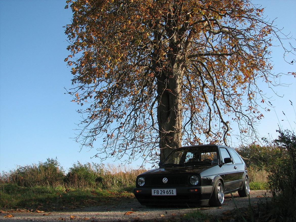 VW GOLF II GTI 8V billede 20