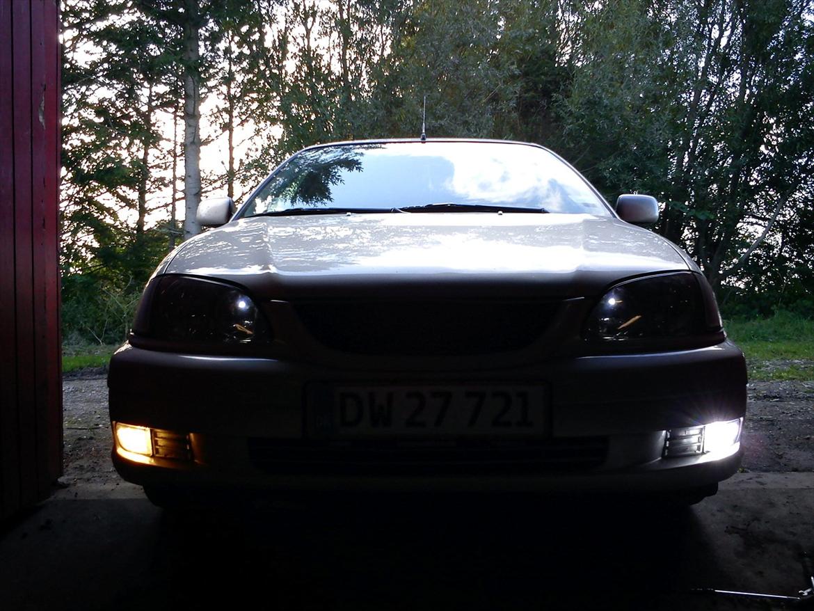 Toyota Avensis T22 - forskellen på hallogen og xenon i tågelygter! billede 12