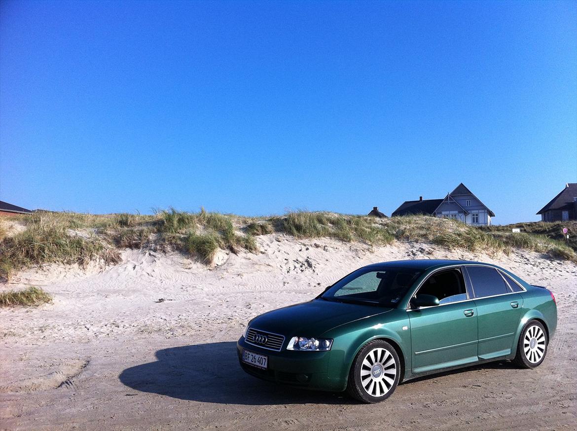 Audi a4 b6 - Fanø strand billede 11