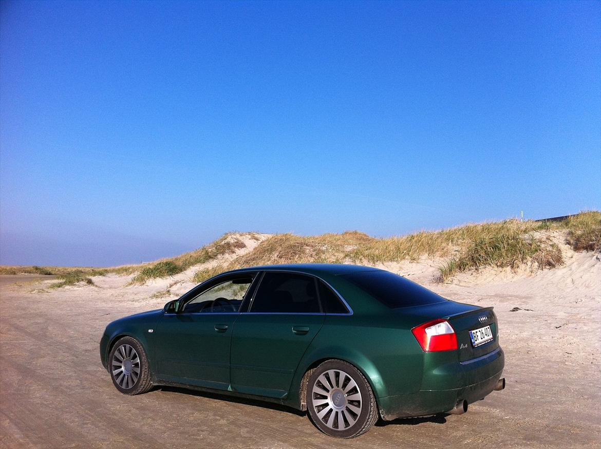 Audi a4 b6 - strandsniger med de gamle sommerruller billede 12