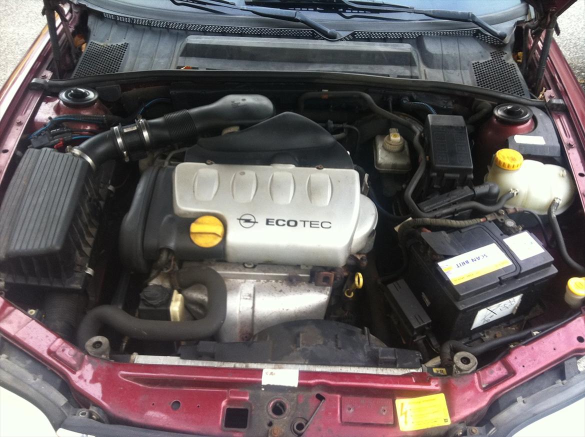 Opel Vectra B billede 8