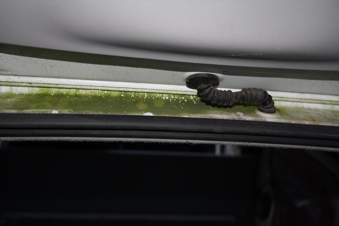 Toyota Avensis SportsVan - Bilen havde holdt i længere tid under et træ :-) billede 10