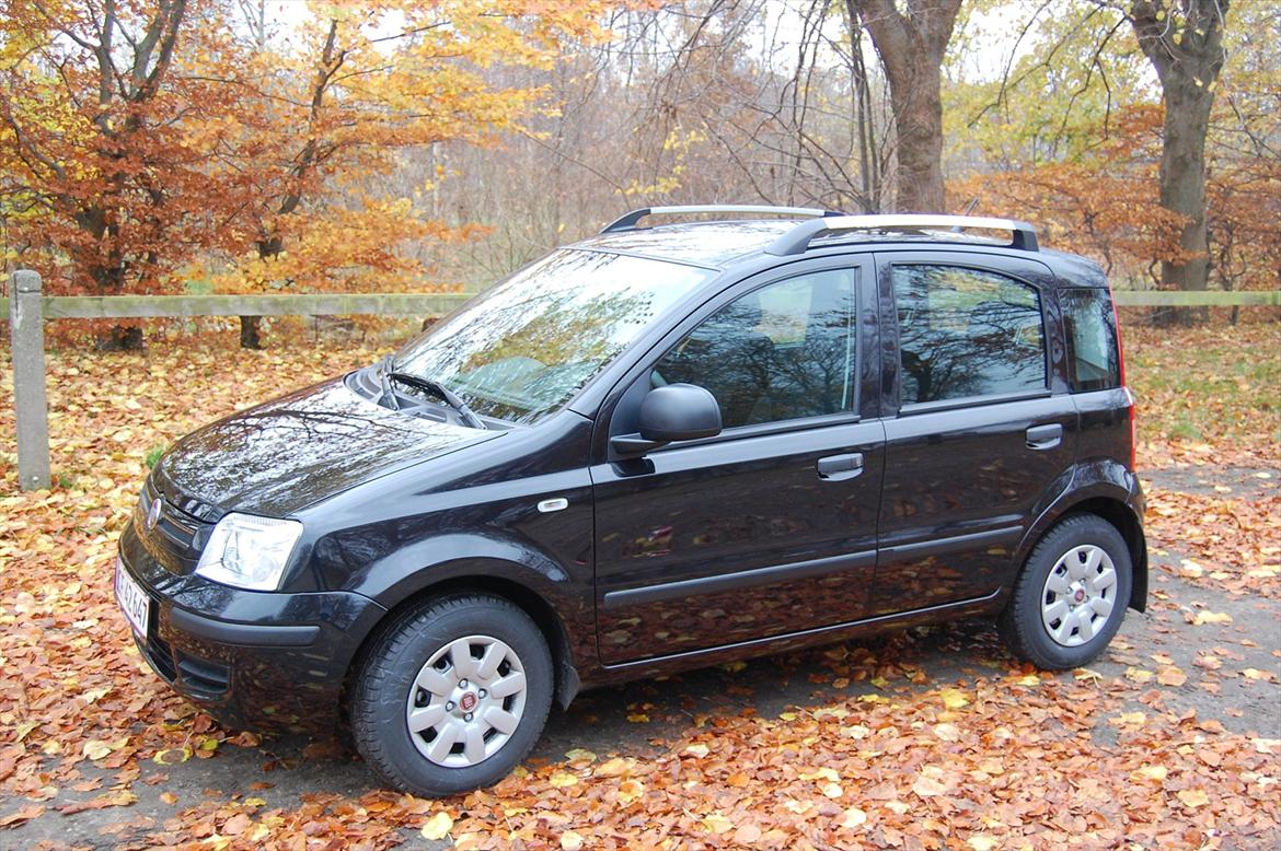 Fiat Panda 1,2  billede 1