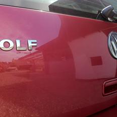 VW Golf IV [Tidl. Bil]