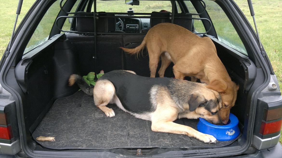 VW passat 35i vr6 billede 9