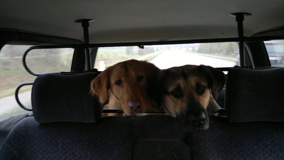 VW passat 35i vr6 billede 15