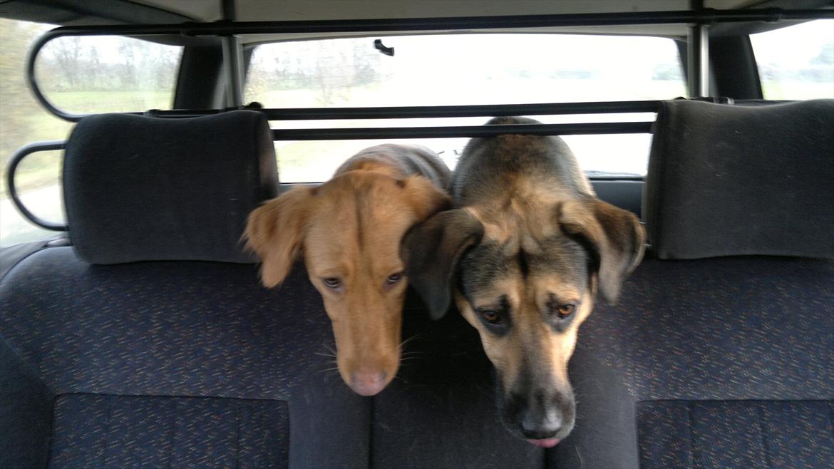 VW passat 35i vr6 billede 16