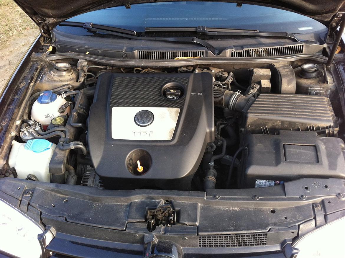 VW Golf IV 1.9 TDI Ocean Variant [Tidl. bil]  billede 8