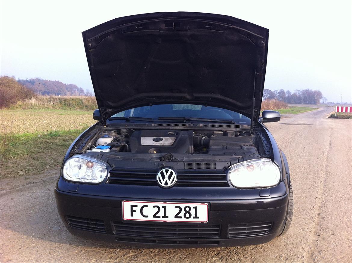 VW Golf IV 1.9 TDI Ocean Variant [Tidl. bil]  billede 9