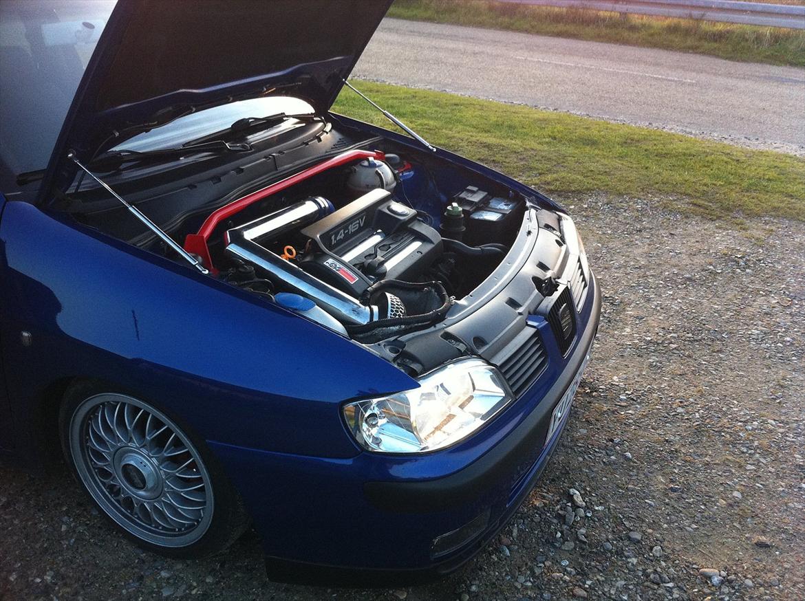 Seat Ibiza  (Tidl.bil) billede 12